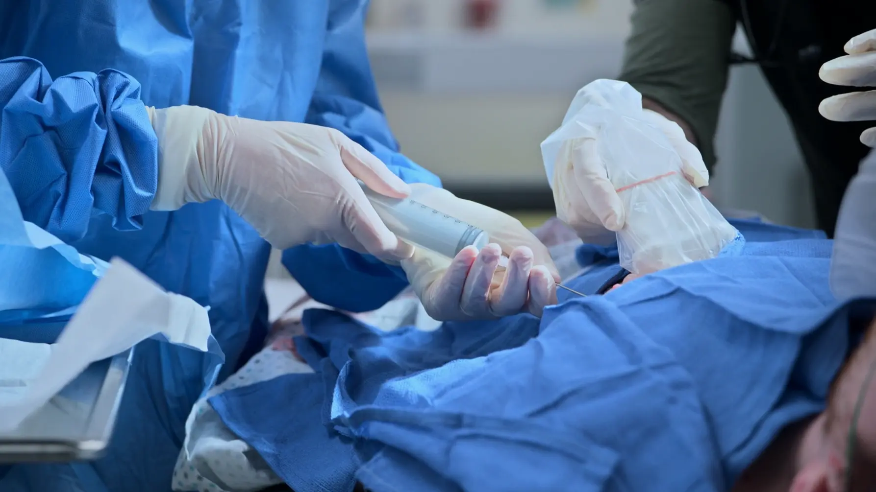 Dr. Santos realizando uma pericardiocentese apical guiada por ultrassom sob supervisão da Dra. Robinavitch.