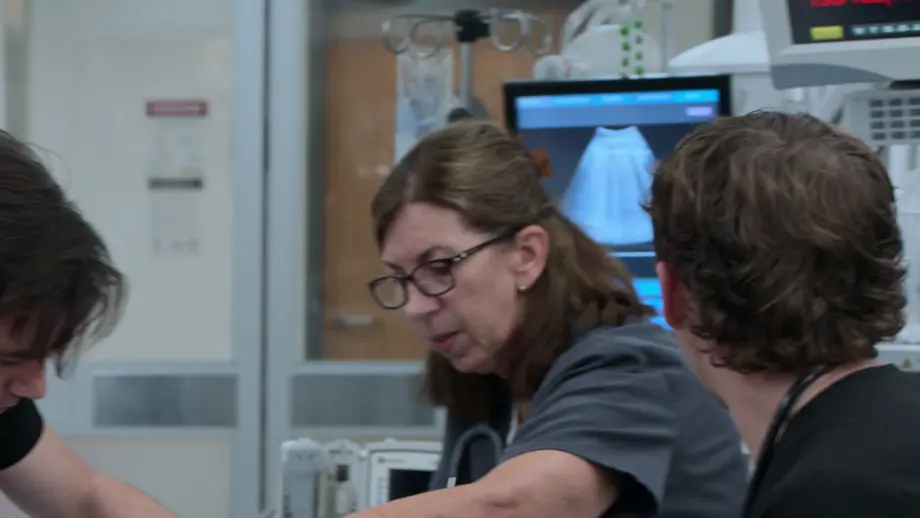 Échographie pulmonaire montrant des lignes B diffuses.